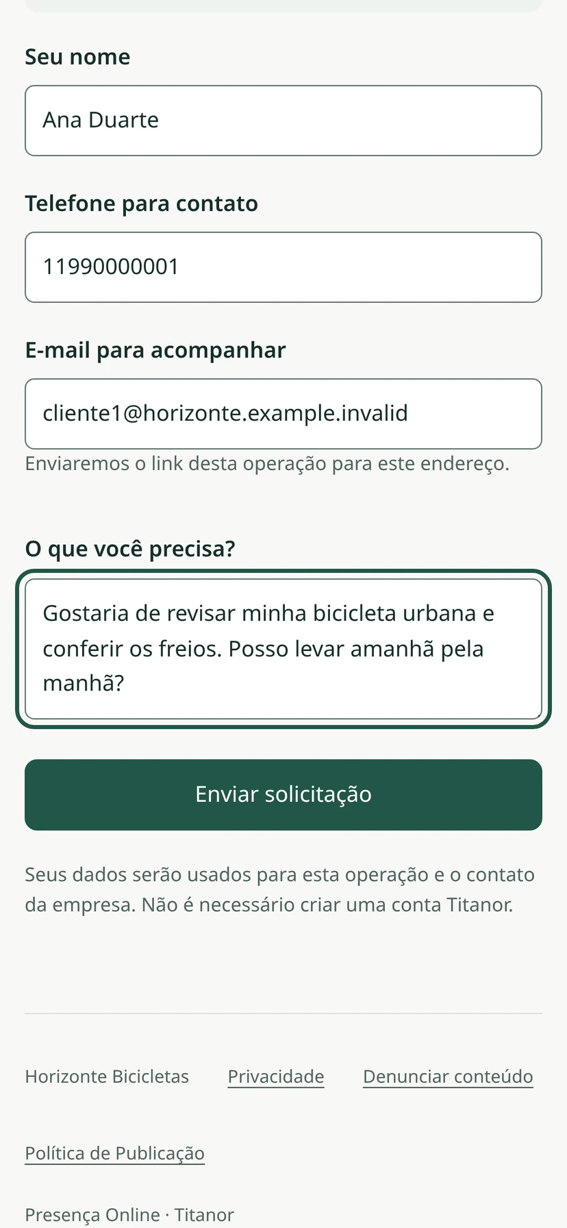 Ana Duarte preenche a solicitação de revisão na página da oficina. Dados fictícios.